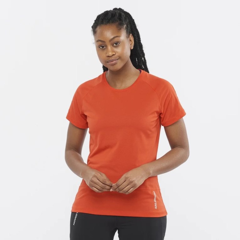 Camiseta Salomon Cross Run Curta Sleeve Feminino Coral | PT M19603